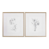 Botanical Sketches - Set of 2