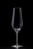 Tulipa Clear Champagne Glasses - Set of 6