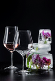 Tulipa Clear White Wine Glasses - Set of 6