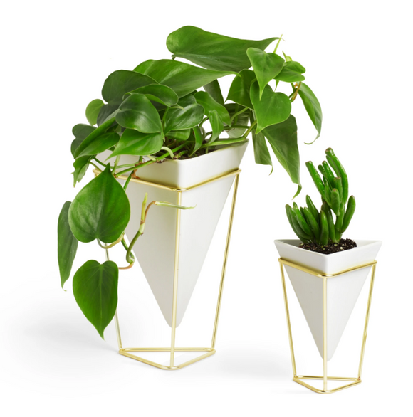 White and Brass Trigg Tabletop Vessel Set of 2